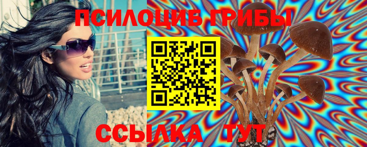 Киселёвск  Псилоцибиновые грибы прущие грибы  Вход с VPN 