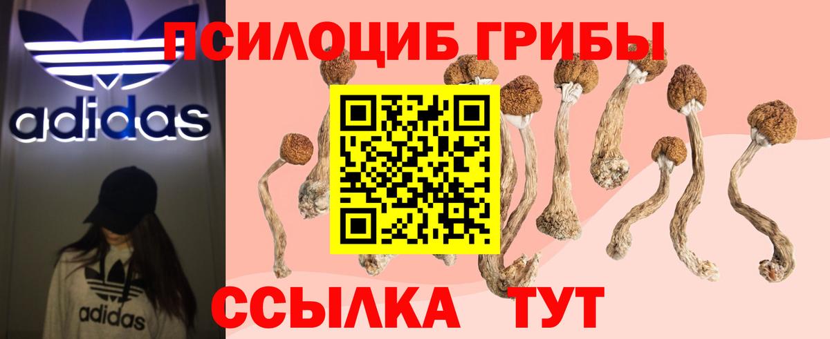 Галлюциногенные грибы Magic Shrooms Киселёвск