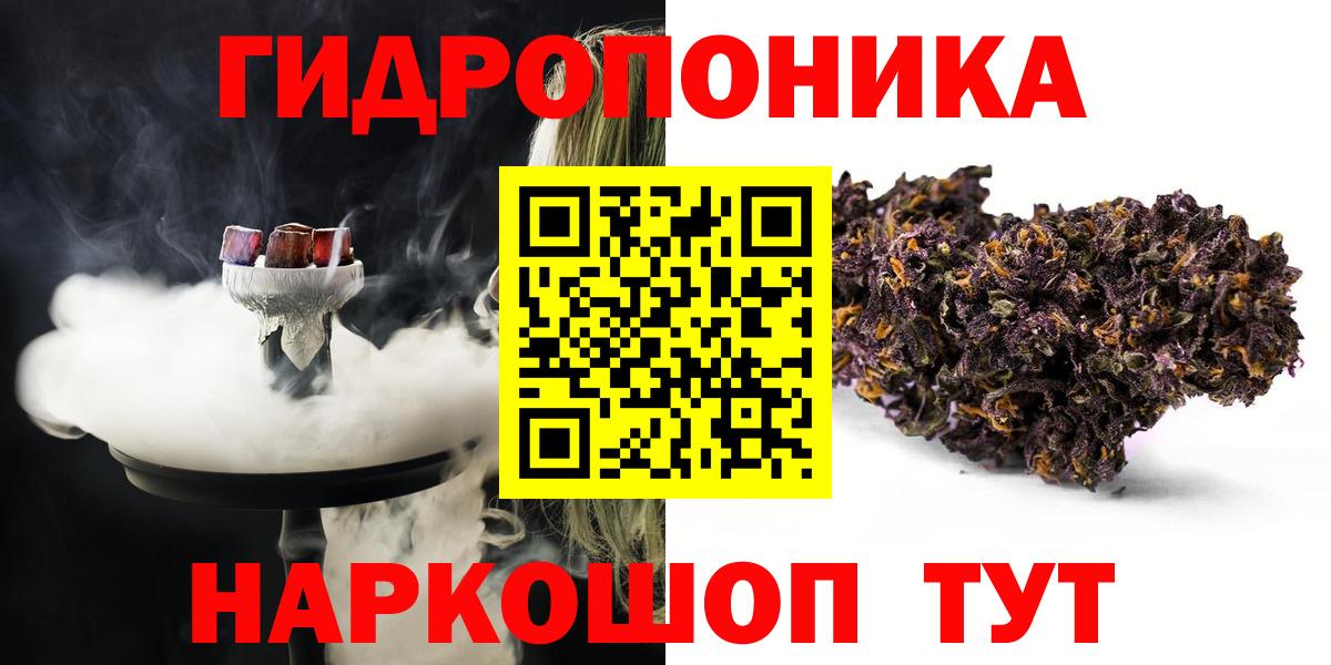 Бошки Шишки планчик  Бошки Шишки ГИДРОПОН  Киселёвск  Вход с VPN 